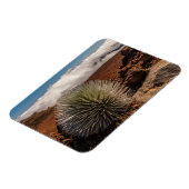 USA, Hawaii, Maui, Haleakala National Park Magneet (Linkerzijde)
