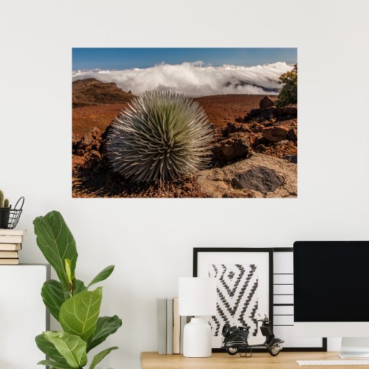 USA, Hawaii, Maui, Haleakala National Park Poster (Thuiskantoor)