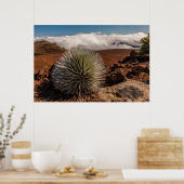 USA, Hawaii, Maui, Haleakala National Park Poster (Keuken)