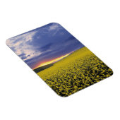 USA, Idaho, Swan Valley. Een woeste zonnebrand Magneet (Rechterzijde)