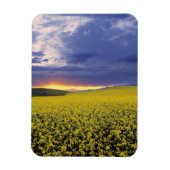 USA, Idaho, Swan Valley. Een woeste zonnebrand Magneet (Verticaal)