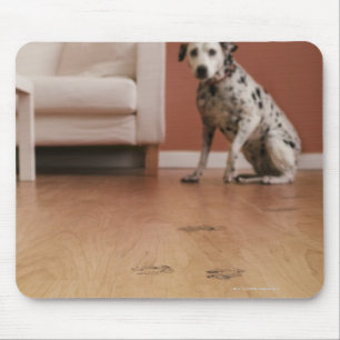 USA, Illinois, Metamora, Close of floor with Muismat