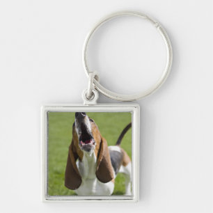 USA, Illinois, Washington, Portrait of Bassett Sleutelhanger