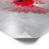 USA, Indiana, Indianapolis. A kardinaal Foto Afdruk (Hoek)