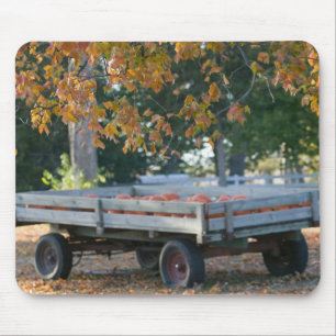 USA, IOWA, Madison County, Winterset: Howell's Muismat