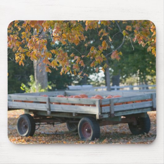 USA, IOWA, Madison County, Winterset: Howell's Muismat (Voorkant)