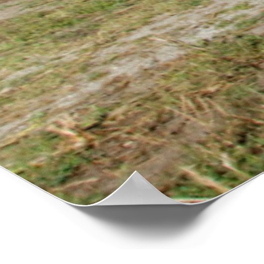 USA, Kansas, Old Red Barn Poster (Hoek)