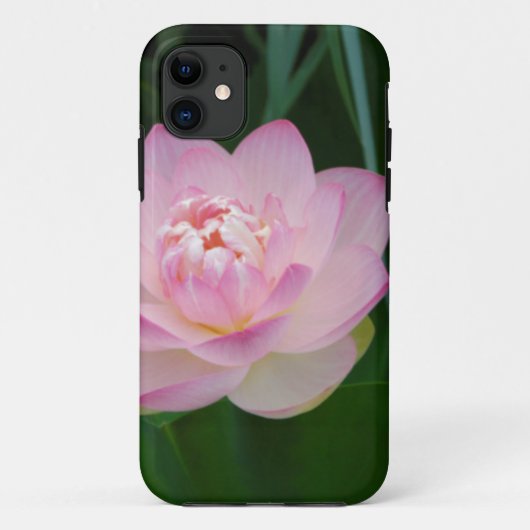 USA, Kansas, Pink Water Lilly Case-Mate iPhone Case (Achterkant)