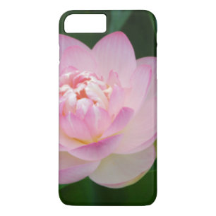 USA, Kansas, Pink Water Lilly Case-Mate iPhone Case
