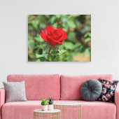 USA, Kansas, Red Rose Canvas Afdruk (Insitu (Woonkamer))