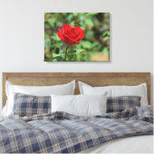 USA, Kansas, Red Rose Canvas Afdruk (Insitu (Slaapkamer))