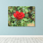 USA, Kansas, Red Rose Canvas Afdruk (Insitu (Houten vloer))