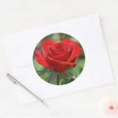 USA, Kansas, Red Rose Ronde Sticker (Envelop)