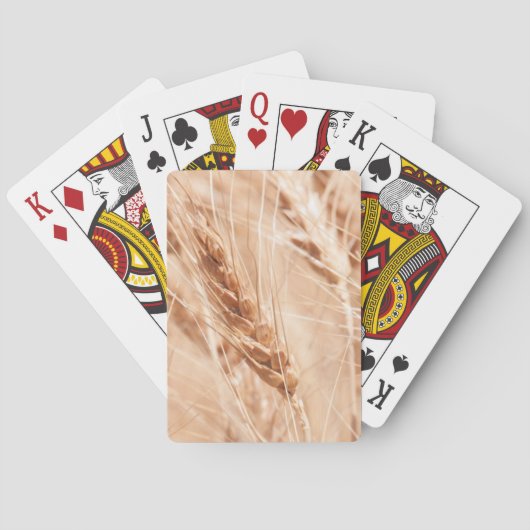 USA, Kansas, Wheat at Harvest Time Pokerkaarten (Achterkant)