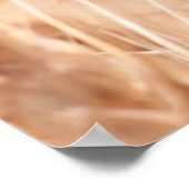 USA, Kansas, Wheat at Harvest Time Poster (Hoek)