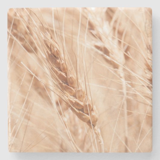USA, Kansas, Wheat at Harvest Time Stenen Onderzetter (Voorkant)