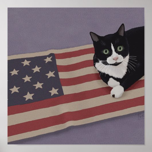 USA Kat Poster (Voorkant)