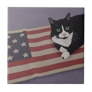 USA Kat Tegeltje