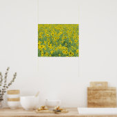 USA, Kentucky, Fayette County Pattern in field Poster (Keuken)