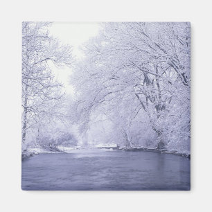 USA, Kentucky, Louisville. Sneeuw bedekt Magneet