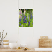 USA, Maine, Acadia National Park. Gebied van Poster (Keuken)