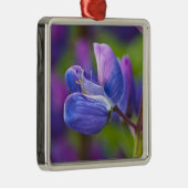 USA, Maine, Acadia National Park. Sluiting van Metalen Ornament (Rechts)