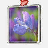 USA, Maine, Acadia National Park. Sluiting van Metalen Ornament (Links)