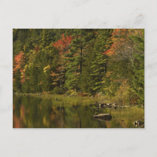 USA; Maine; Acadia NP. reflectie van de herfst bij Briefkaart