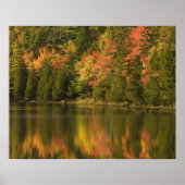 USA; Maine; Acadia NP. reflectie van de herfst bij Poster (Voorkant)