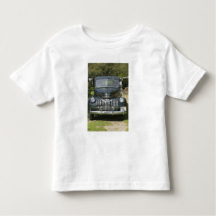 USA, MASSACHUSETTS, Martha's wijngaard: 4 West Kinder Shirts