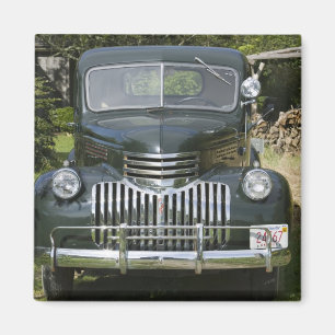 USA, MASSACHUSETTS, Martha's wijngaard: 4 West Magneet