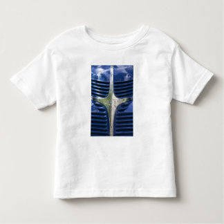 USA, MASSACHUSETTS, Martha's wijngaard: West 3 Kinder Shirts