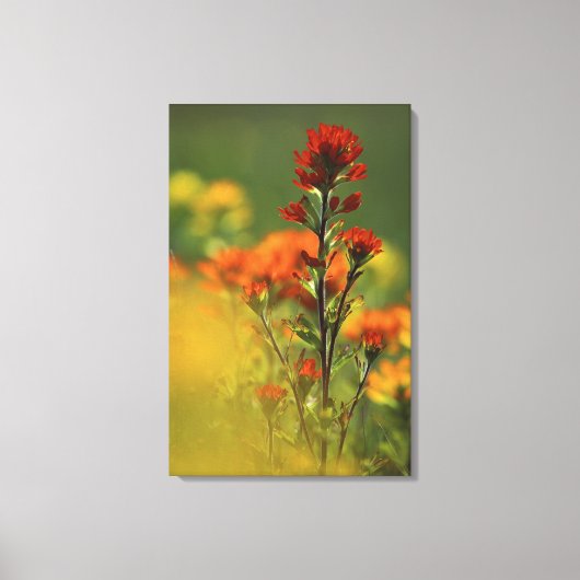 USA, Michigan, Drummond Island, Maxton Plains, Canvas Afdruk (Voorkant)