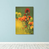 USA, Michigan, Drummond Island, Maxton Plains, Canvas Afdruk (Insitu (Houten vloer))