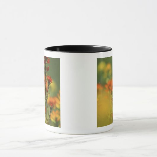 USA, Michigan, Drummond Island, Maxton Plains, Mok (Midden)