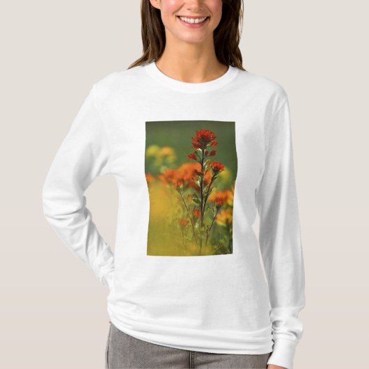USA, Michigan, Drummond Island, Maxton Plains, T-shirt (Voorkant)
