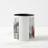 USA, Michigan, Lake Michigan Shore, Grand Haven: Mok (Midden)