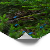 USA, Michigan. Path Thru The Woods Poster (Hoek)