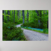 USA, Michigan. Path Thru The Woods Poster (Voorkant)