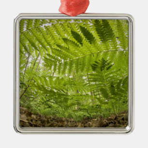 USA, MInnesota, North Shore Lake Superior Metalen Ornament