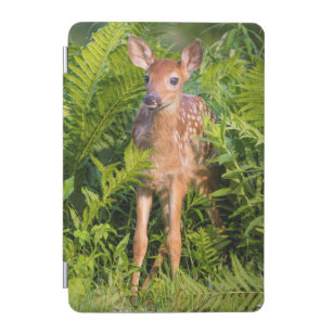 USA, Minnesota, Sandstone, Minnesota Wildlife 10 iPad Mini Cover