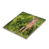 USA, Minnesota, Sandstone, Minnesota Wildlife 10 Tegeltje (Zijkant)