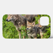 USA, Minnesota, Sandstone, Minnesota Wildlife 12 Case-Mate iPhone Case (Achterkant (horizontaal))