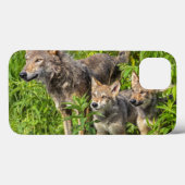 USA, Minnesota, Sandstone, Minnesota Wildlife 12 Case-Mate iPhone Case (Achterkant (horizontaal))