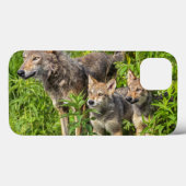 USA, Minnesota, Sandstone, Minnesota Wildlife 12 Case-Mate iPhone Case (Achterkant (horizontaal))
