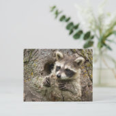 USA, Minnesota, Sandstone, Minnesota Wildlife 16 Briefkaart (Staand voorkant)