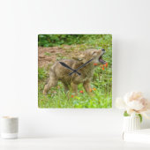 USA, Minnesota, Sandstone, Minnesota Wildlife 17 Vierkante Klok (Huis)