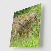 USA, Minnesota, Sandstone, Minnesota Wildlife 17 Vierkante Klok (Hoek)