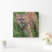 USA, Minnesota, Sandstone, Minnesota Wildlife 18 Vierkante Klok (Huis)