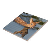 USA, Minnesota, Sandstone, Minnesota Wildlife 19 Tegeltje (Zijkant)